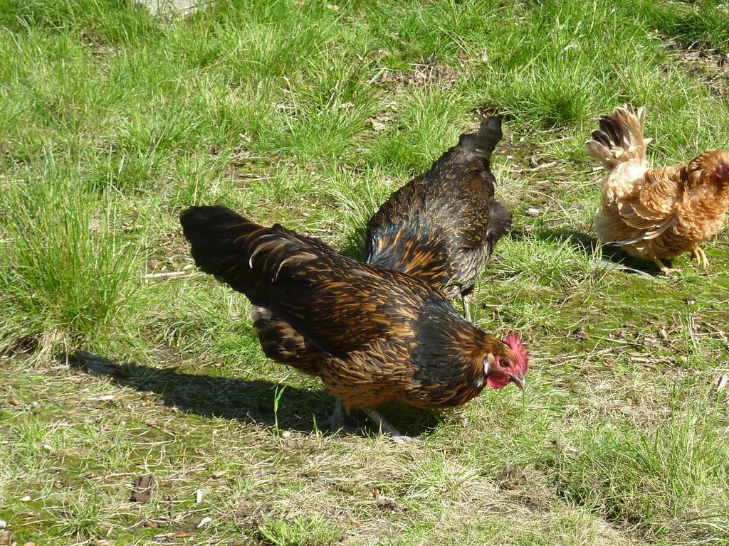 Bed&Breakfast De Koegang Zuidermeer Buitenkant foto